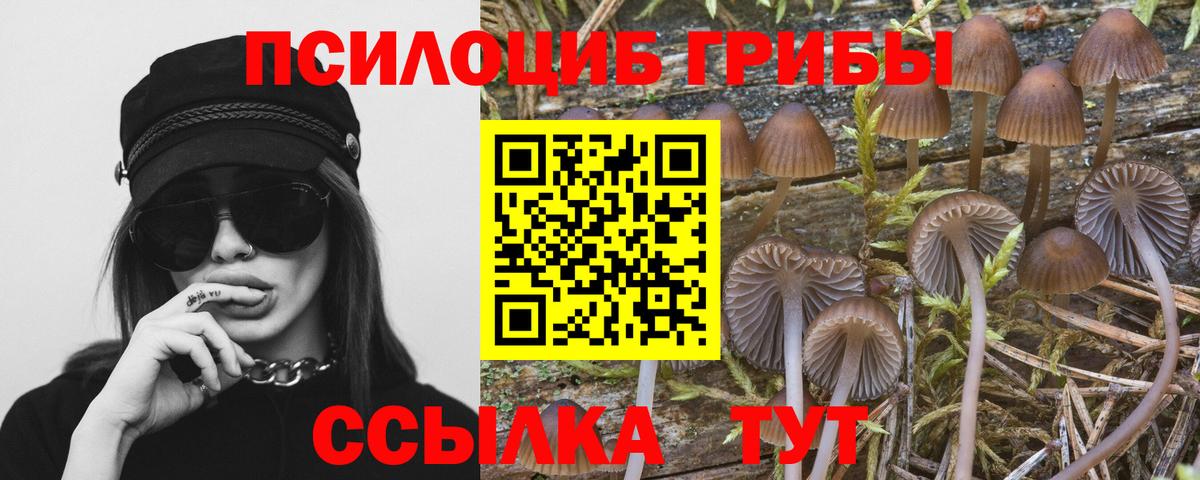 Галлюциногенные грибы ЛСД Аша