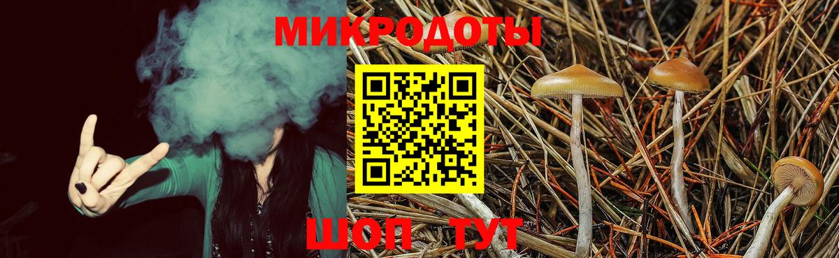 Галлюциногенные грибы MAGIC MUSHROOMS  Галлюциногенные грибы Psilocybine cubensis  Аша  Вход с VPN 