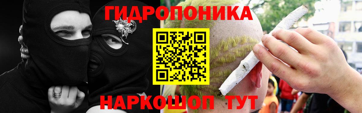Бошки Шишки семена Аша